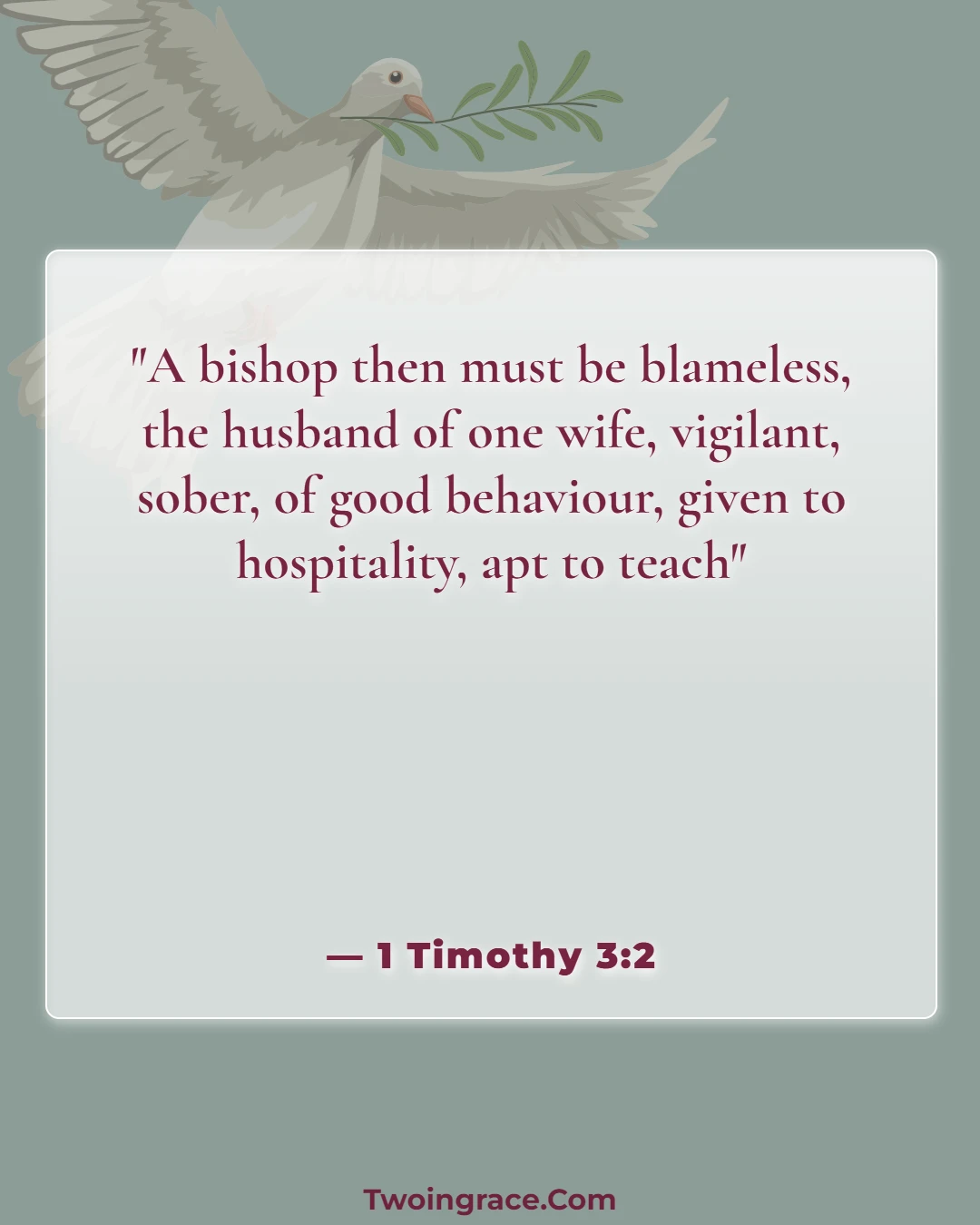 Bible Verse (1 Timothy 3:2)