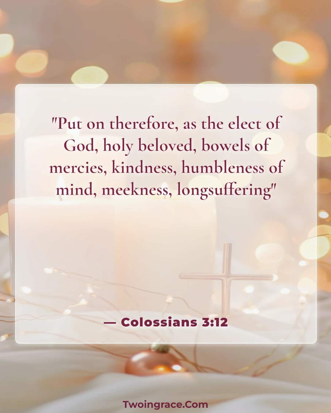 Bible Verse (Colossians 3:12)