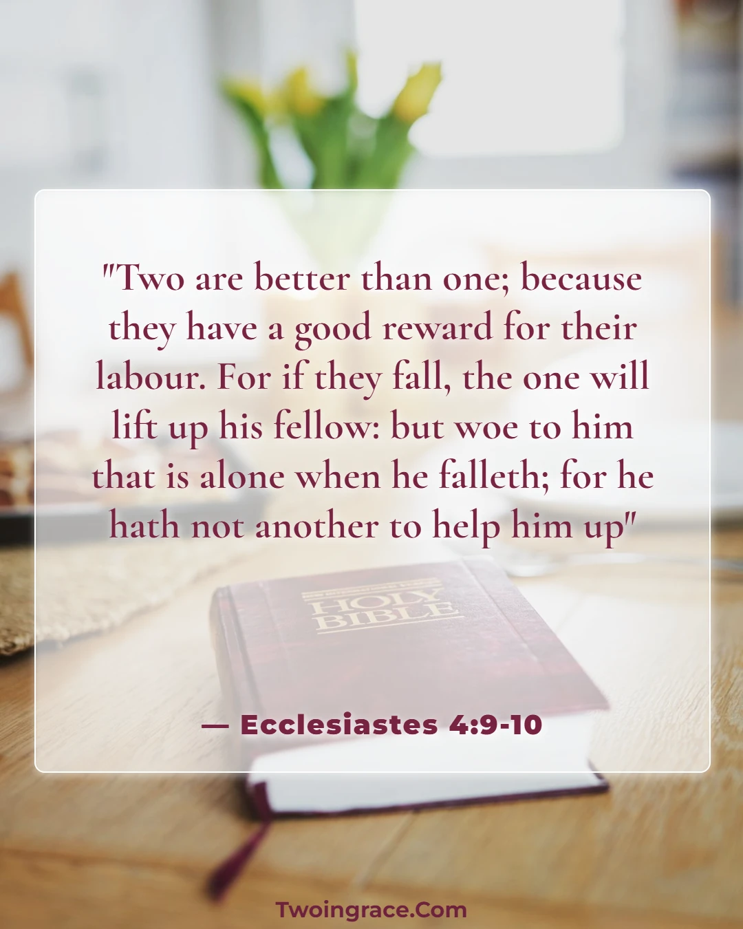 Bible Verse (Ecclesiastes 4:9-10)