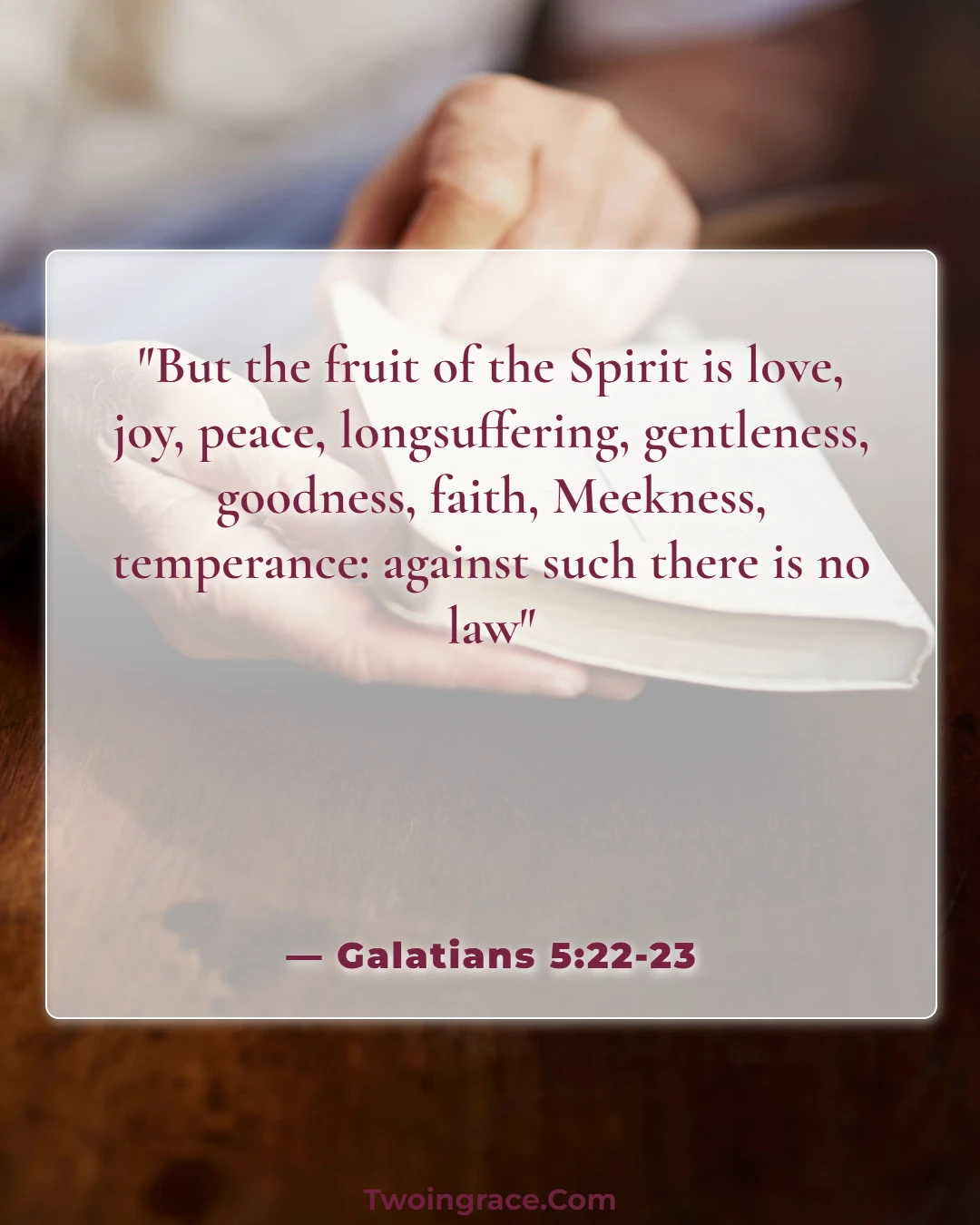 Bible Verse (Galatians 5:22-23)