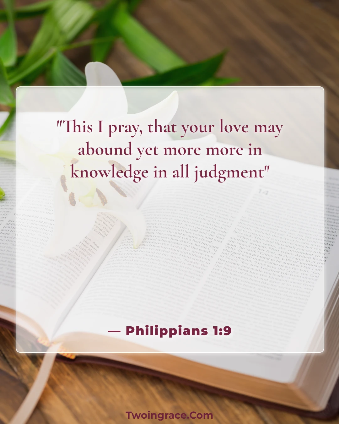 Bible Verse (Philippians 1:9)