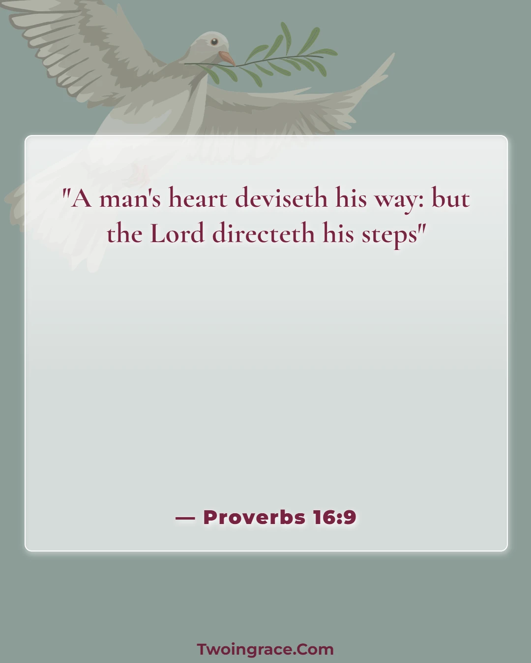 Bible Verse (Proverbs 16:9)
