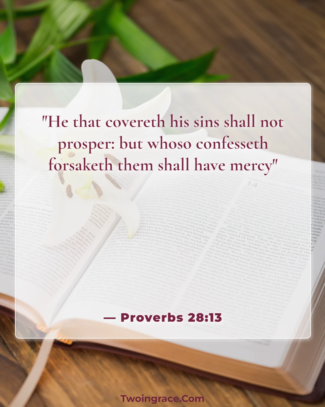 Bible Verse (Proverbs 28:13)