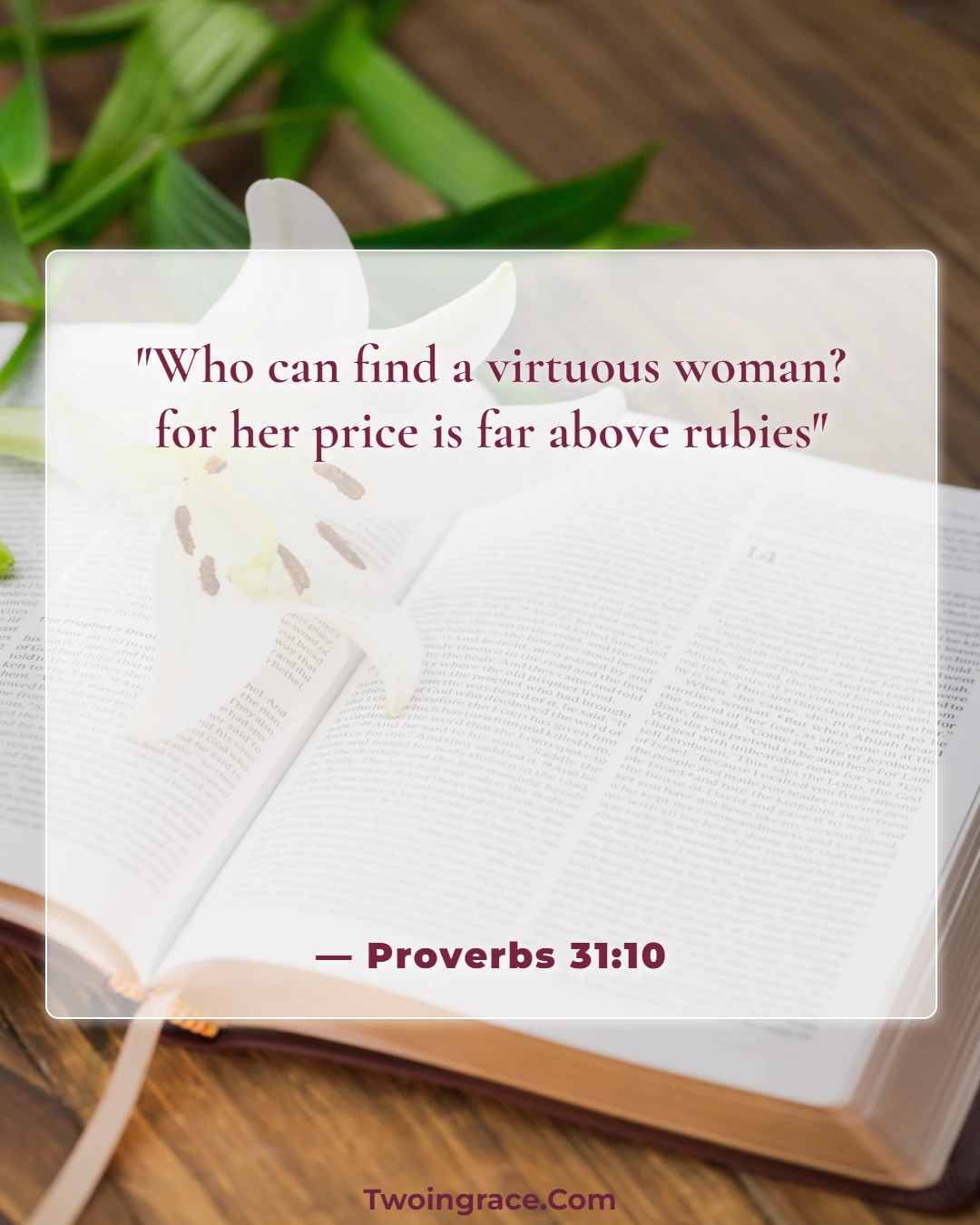 Bible Verse (Proverbs 31:10)