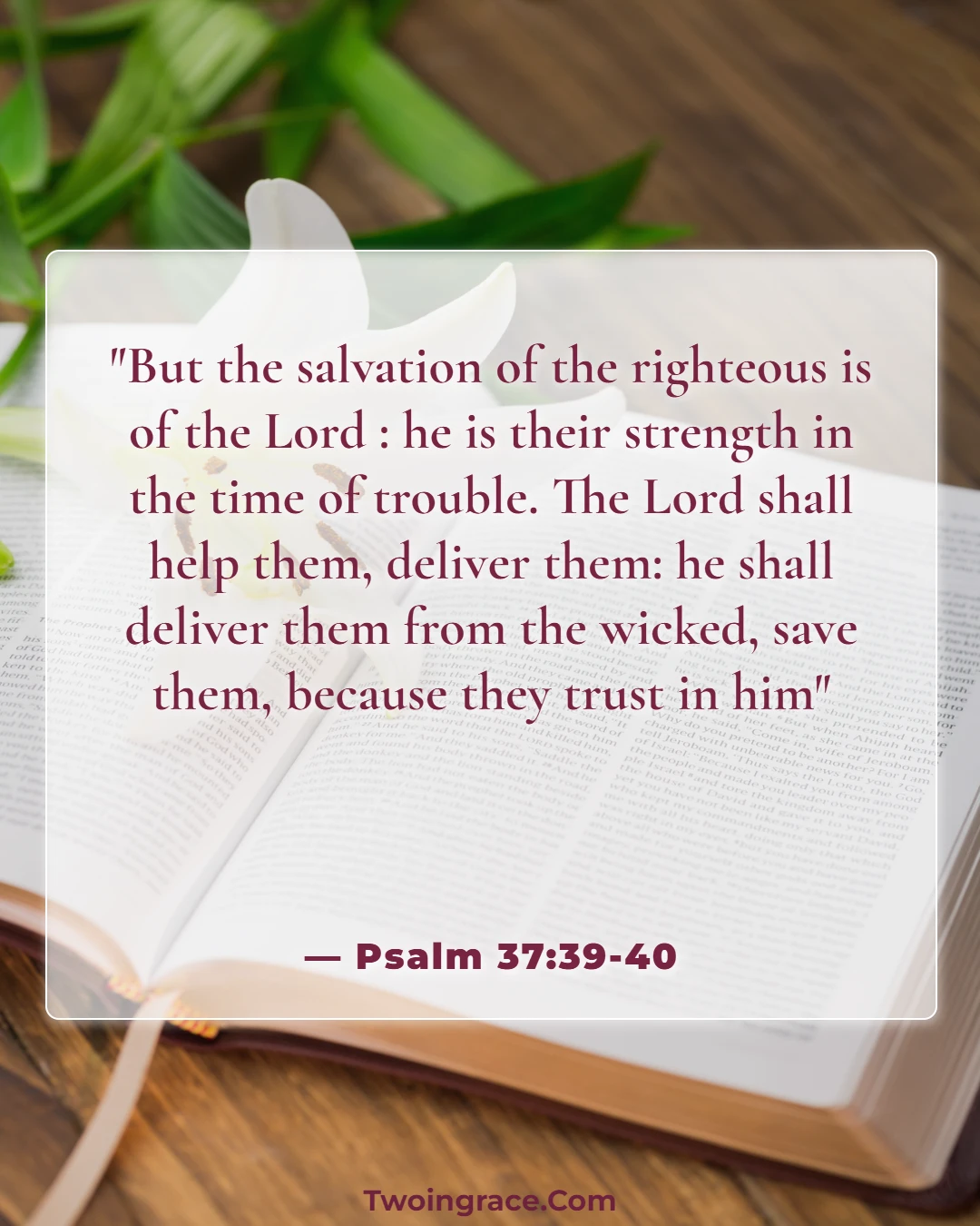 Bible Verse (Psalm 37:39-40)