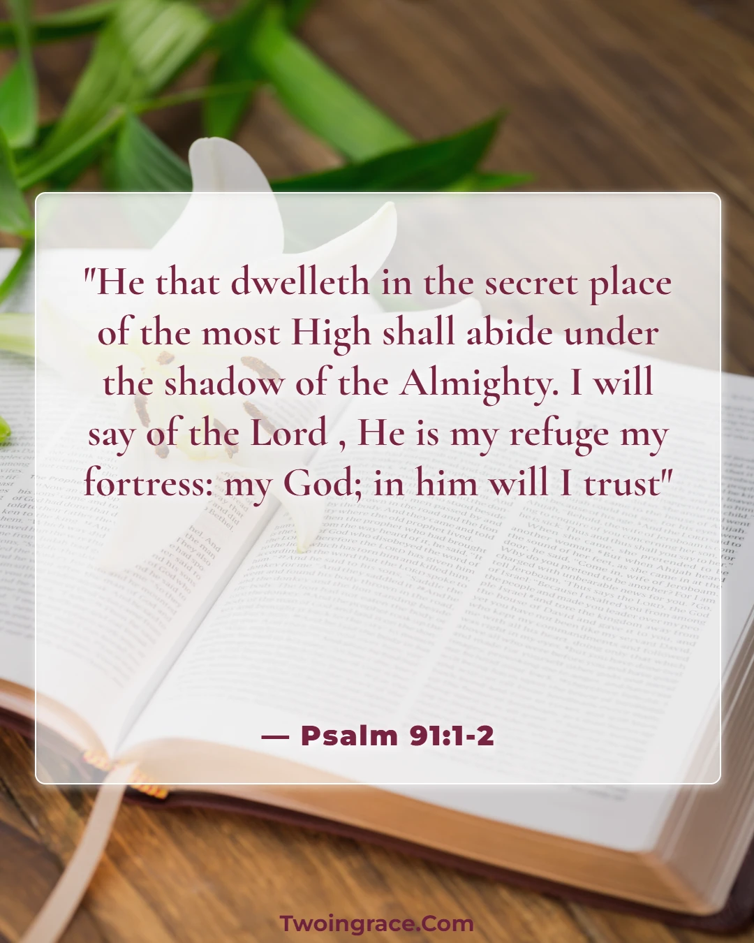 Bible Verse (Psalm 91:1-2)