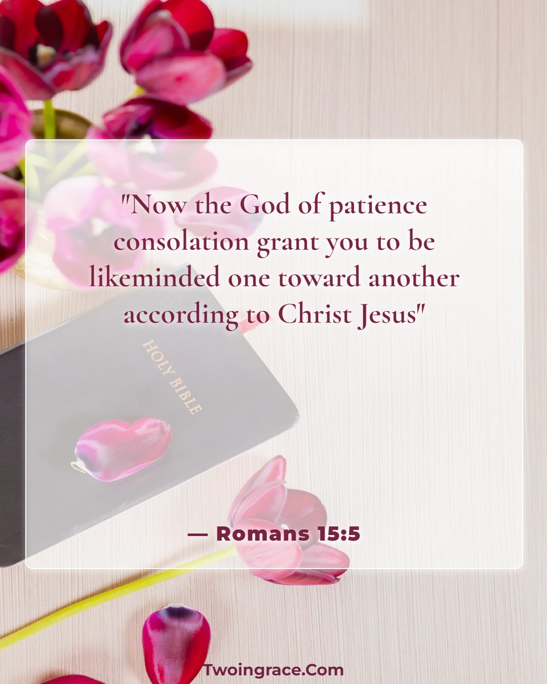 Bible Verse (Romans 15:5)
